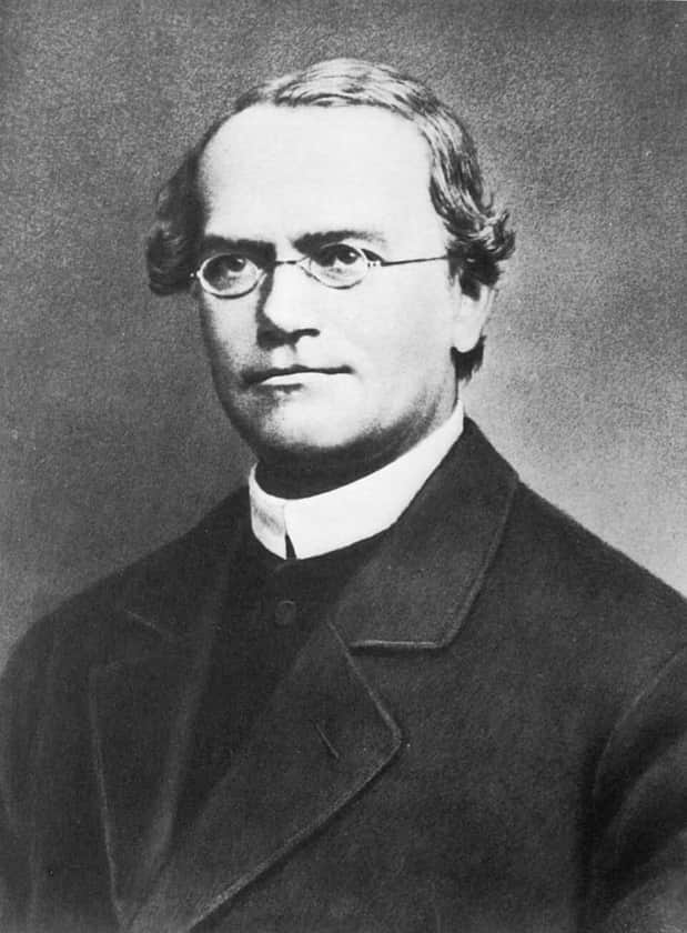 Portrait of Gregor Mendel