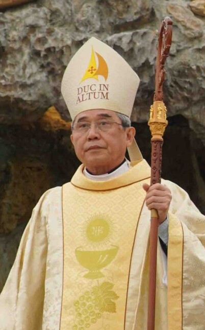 Bishop Louis Nguyễn Anh Tuấn while apostolic administrator of Hà Tĩnh